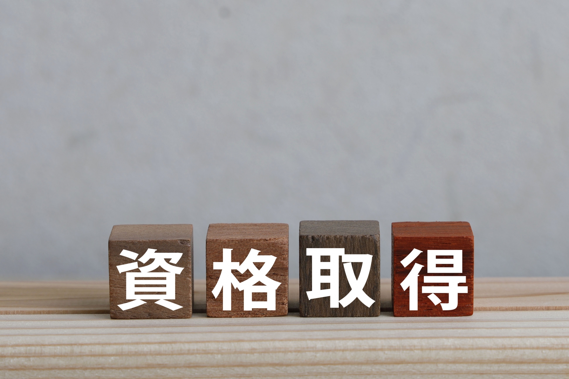 資格取得サポート